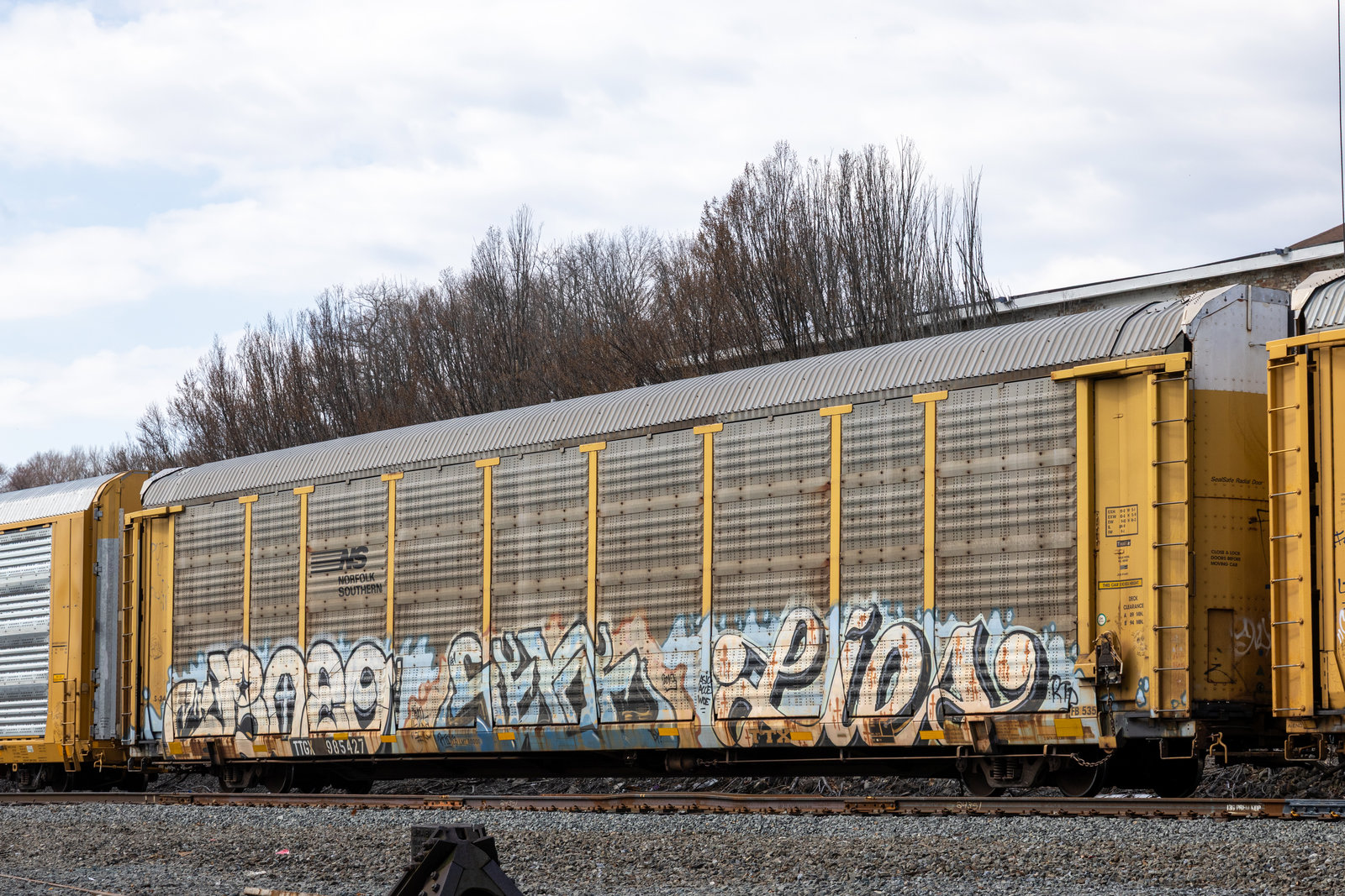 TTGX 985427