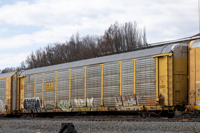 TTGX 992124