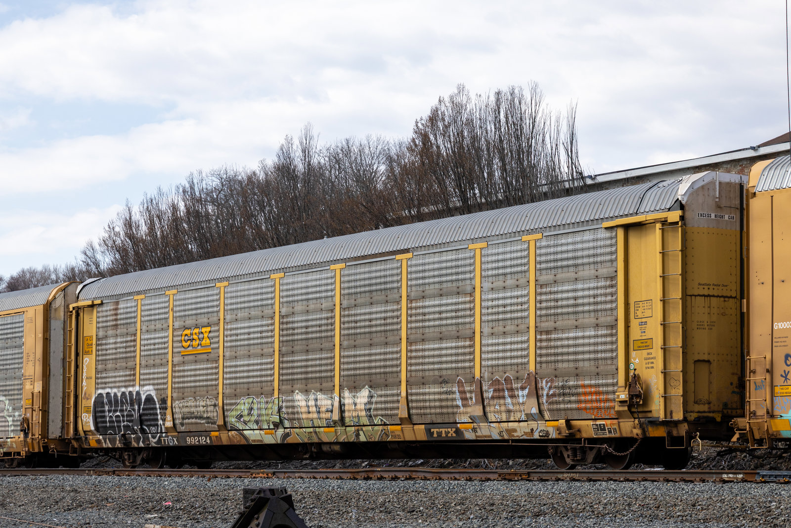 TTGX 992124