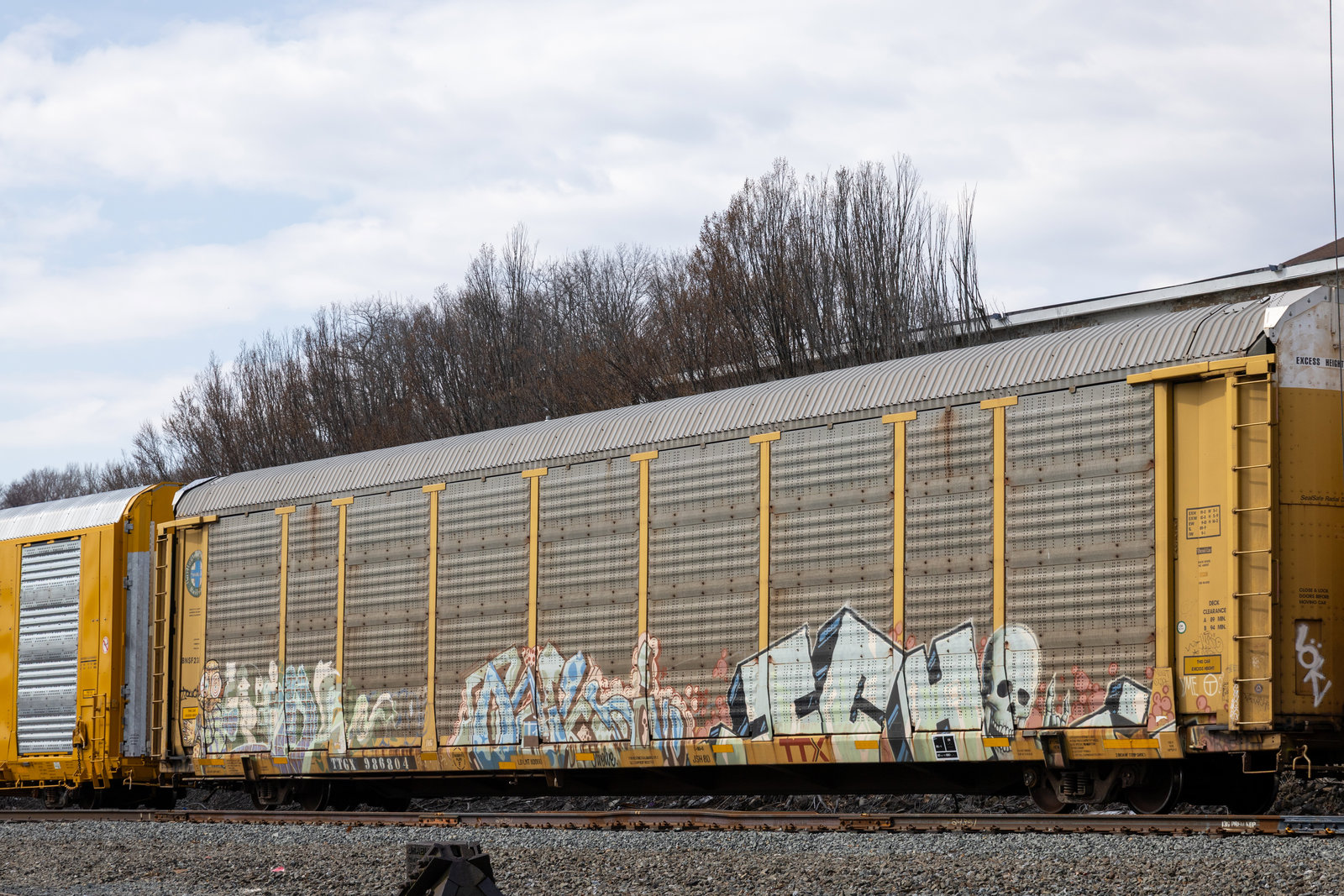 TTGX 986804