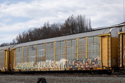 TTGX 985651