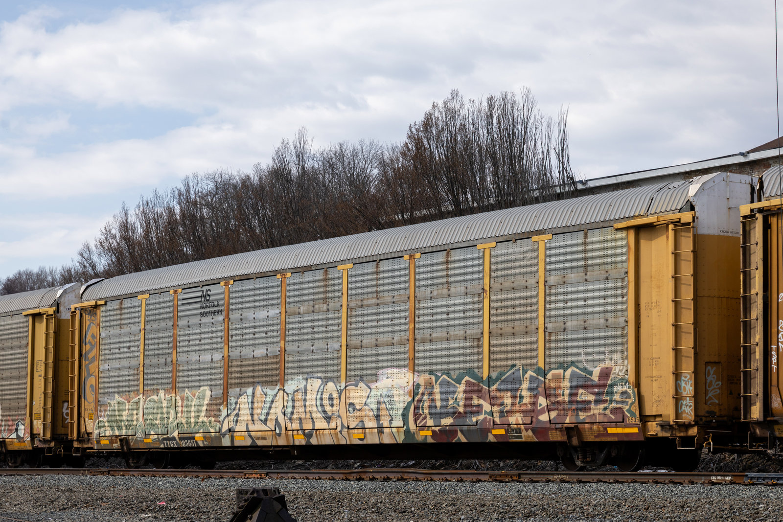 TTGX 985651