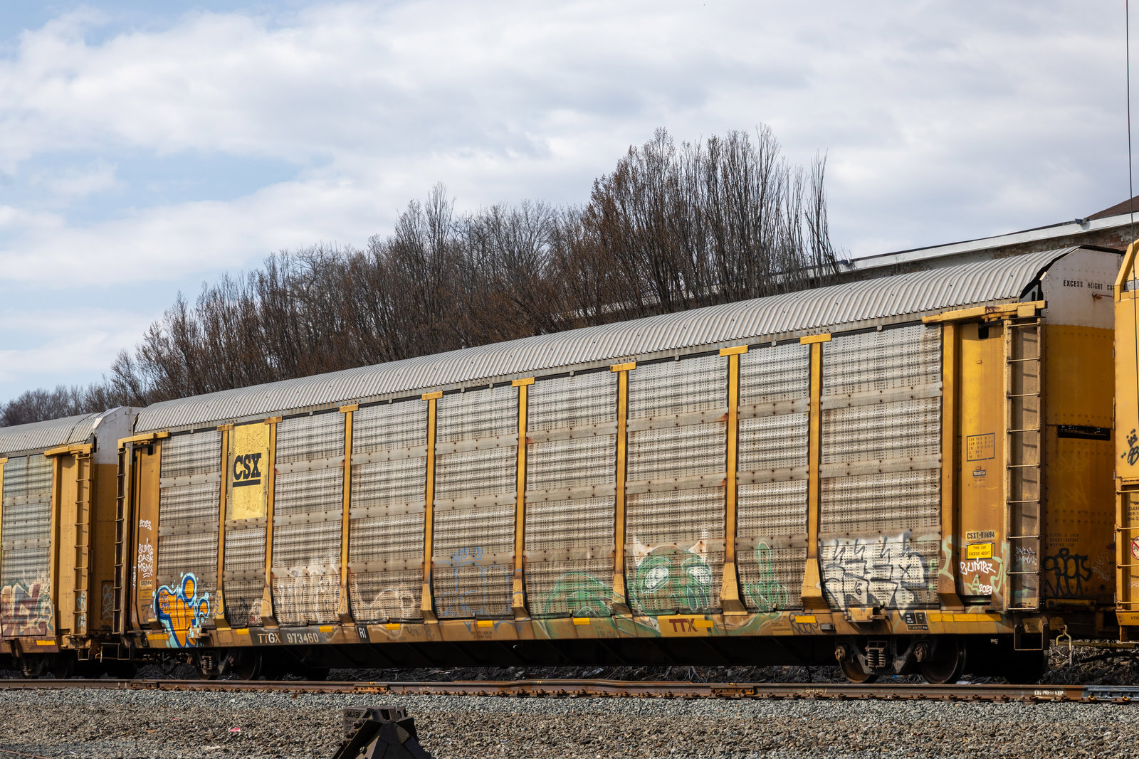 TTGX 973460