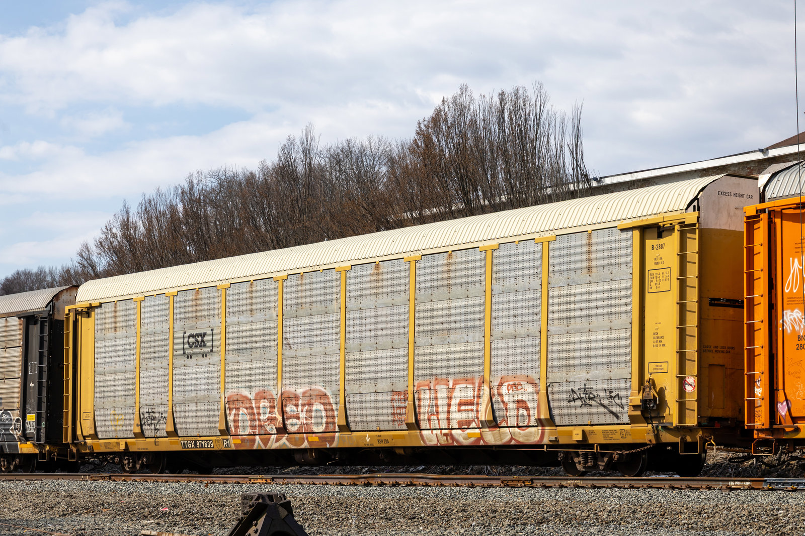 TTGX 971839