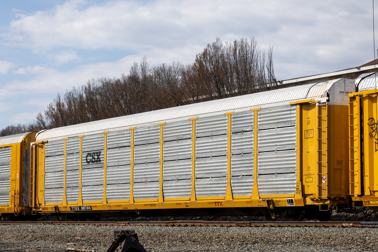 TTGX 987414