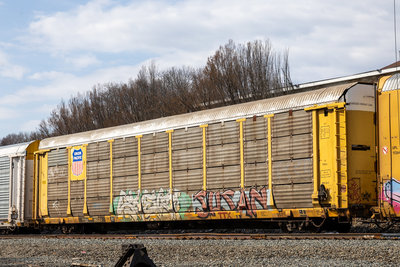 TTGX 965211