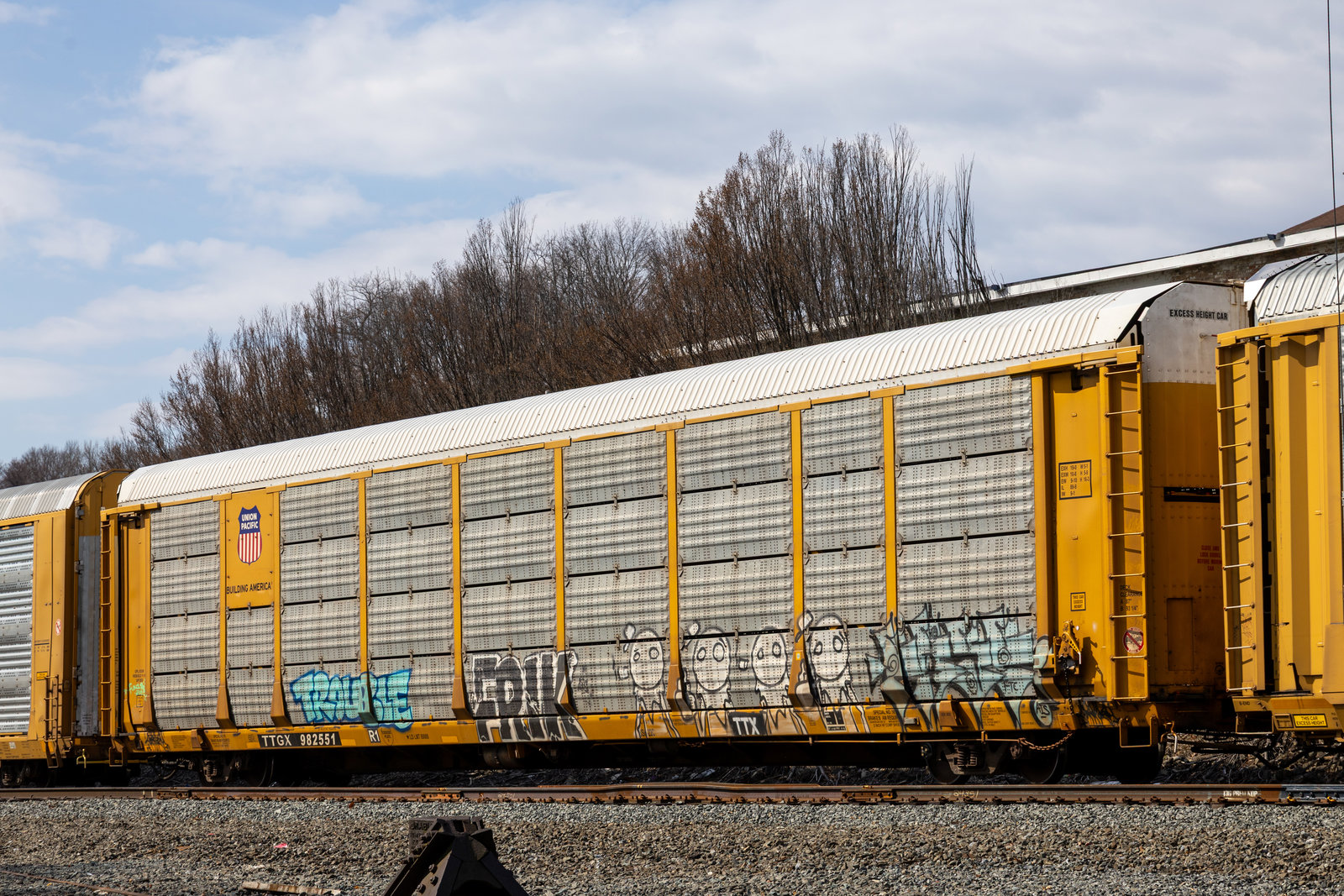 TTGX 982551