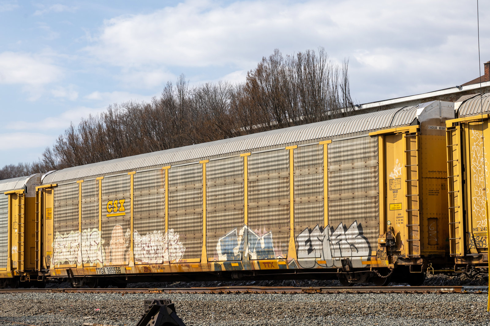 TTGX 985559