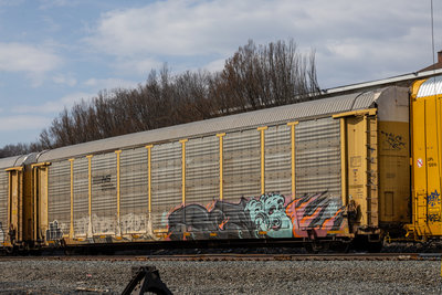 TTGX 985261