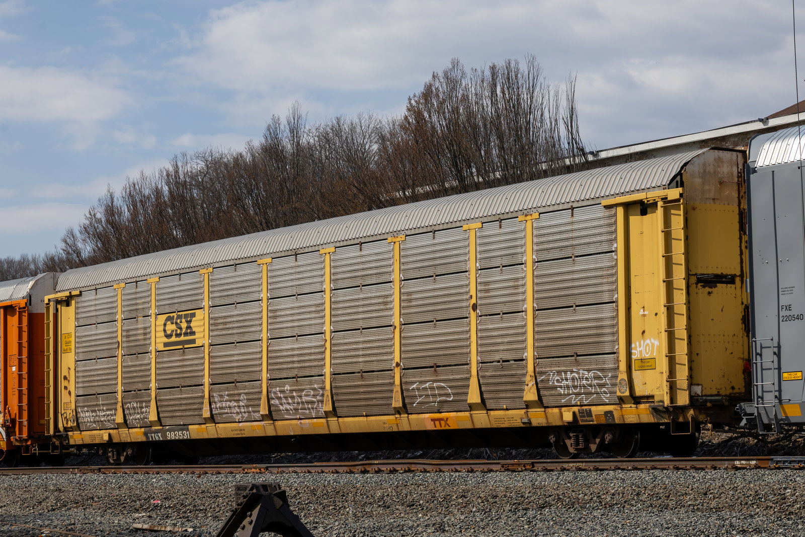 TTGX 983531