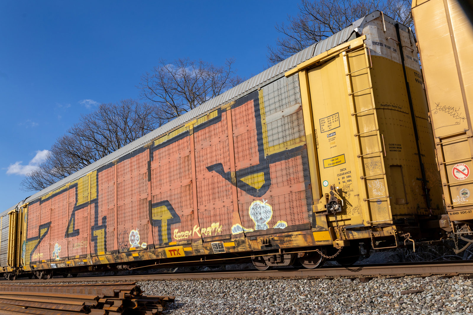 TTGX 994834