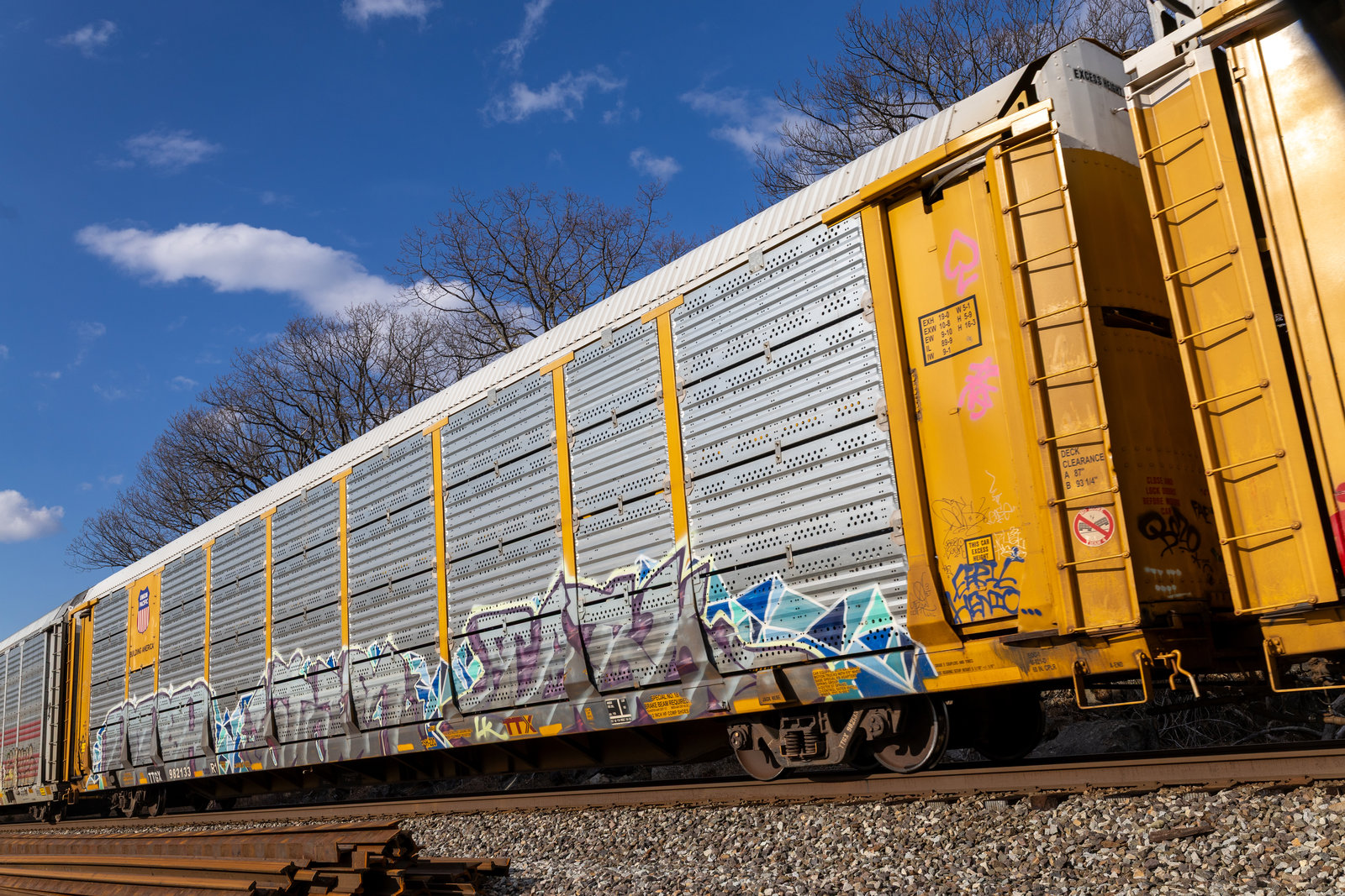 TTGX 982133