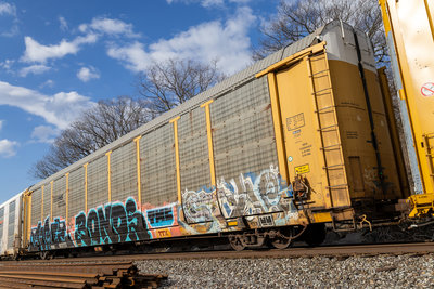 TTGX 983173
