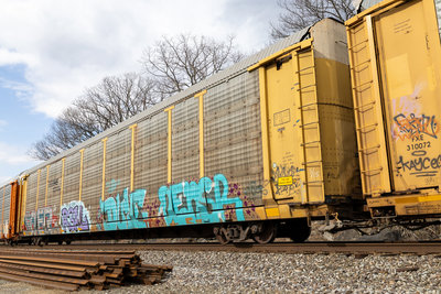 TTGX 971654