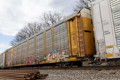 TTGX 983242