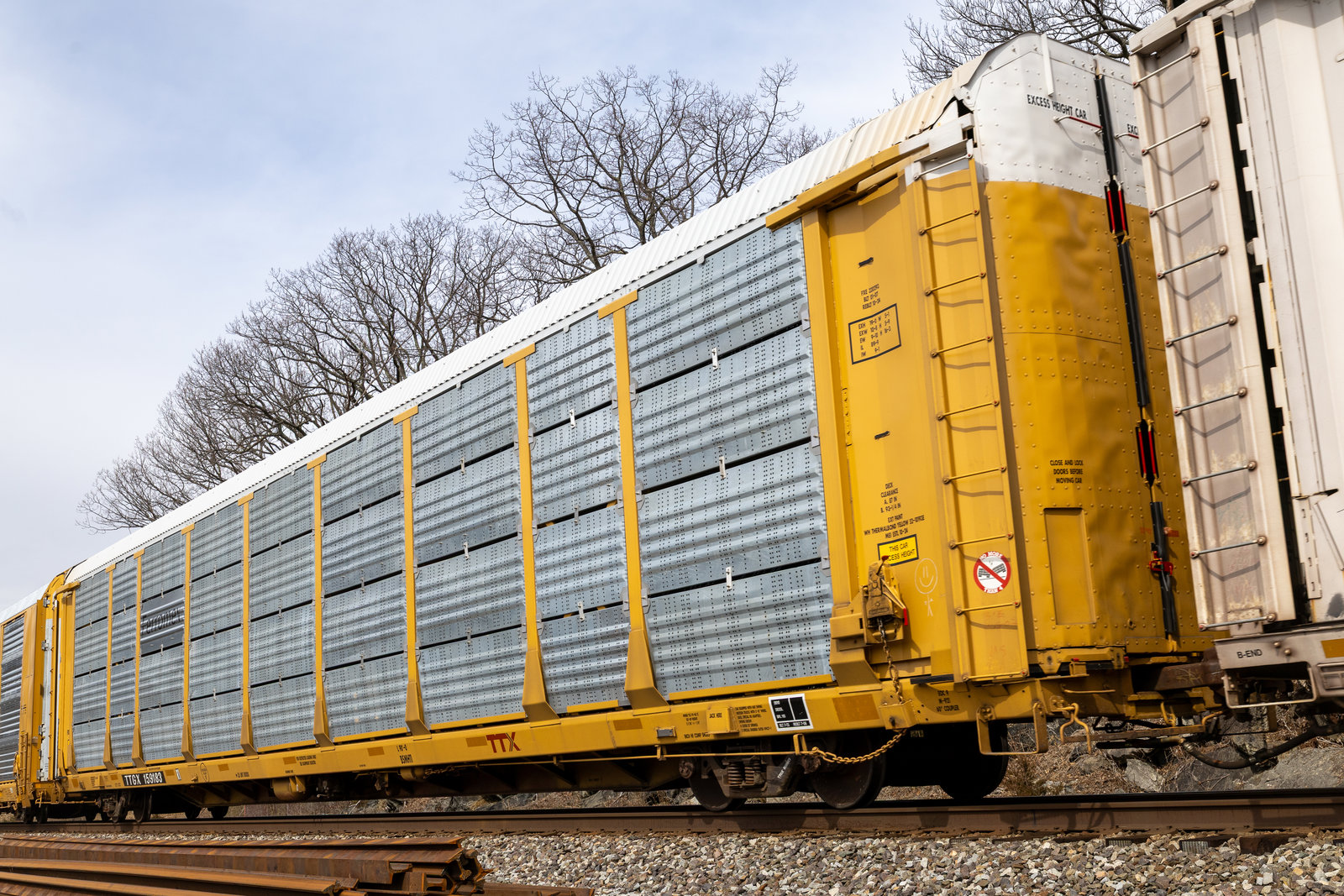 TTGX 159183