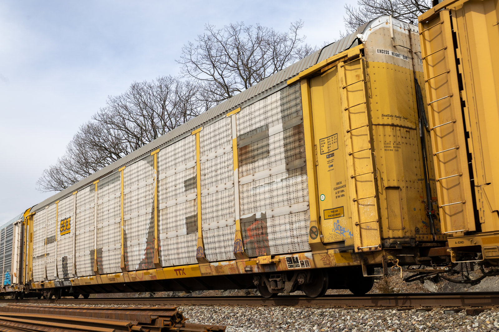 TTGX 991803