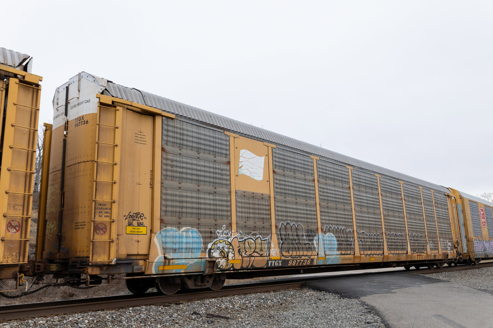 TTGX 987736