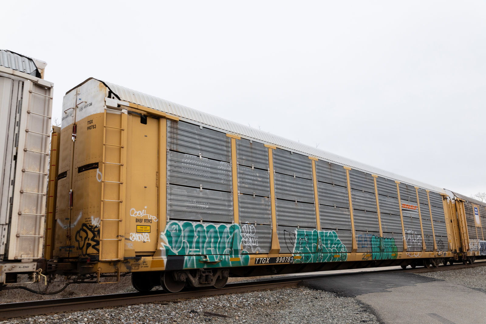 TTGX 990783
