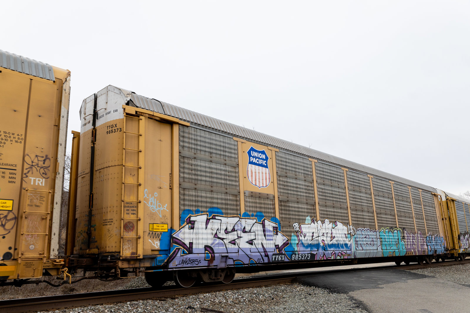 TTGX 985373