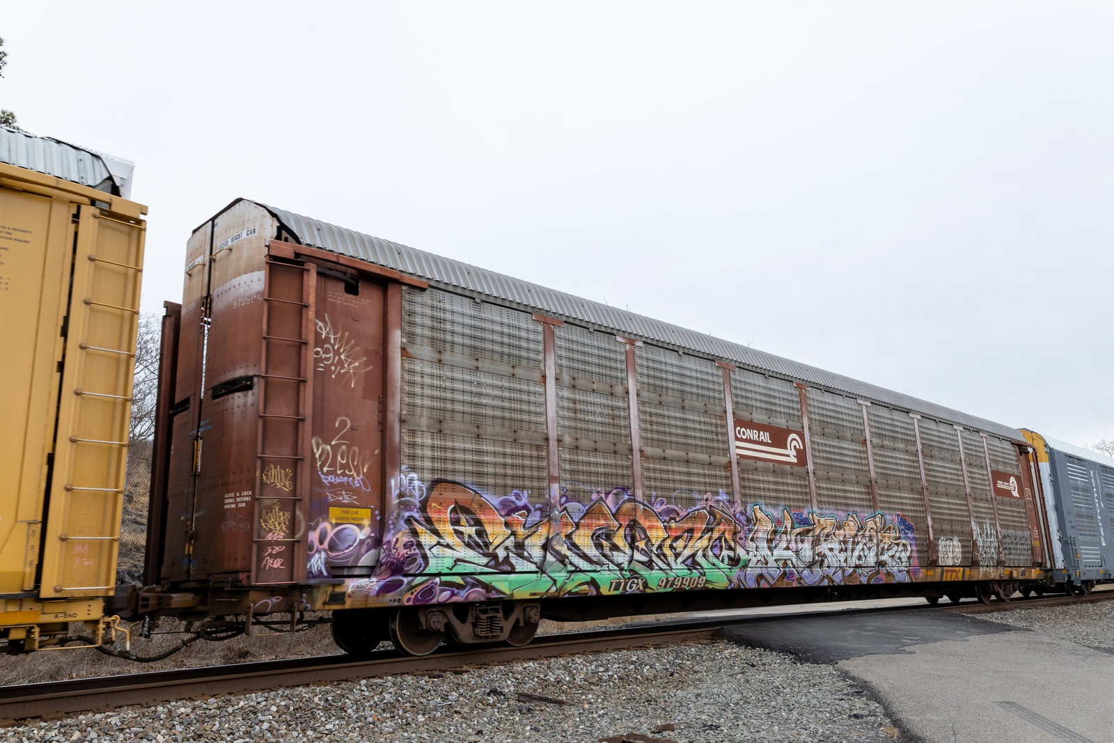 TTGX 979909