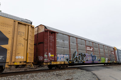 TTGX 981699