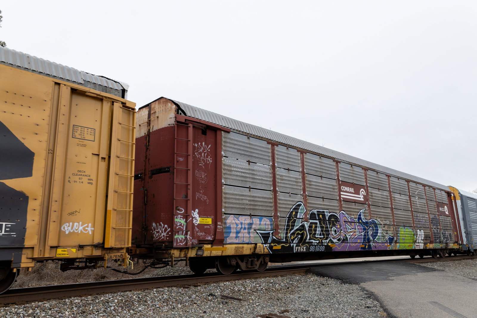 TTGX 981699