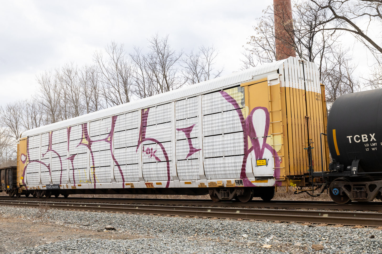 TTGX 964198