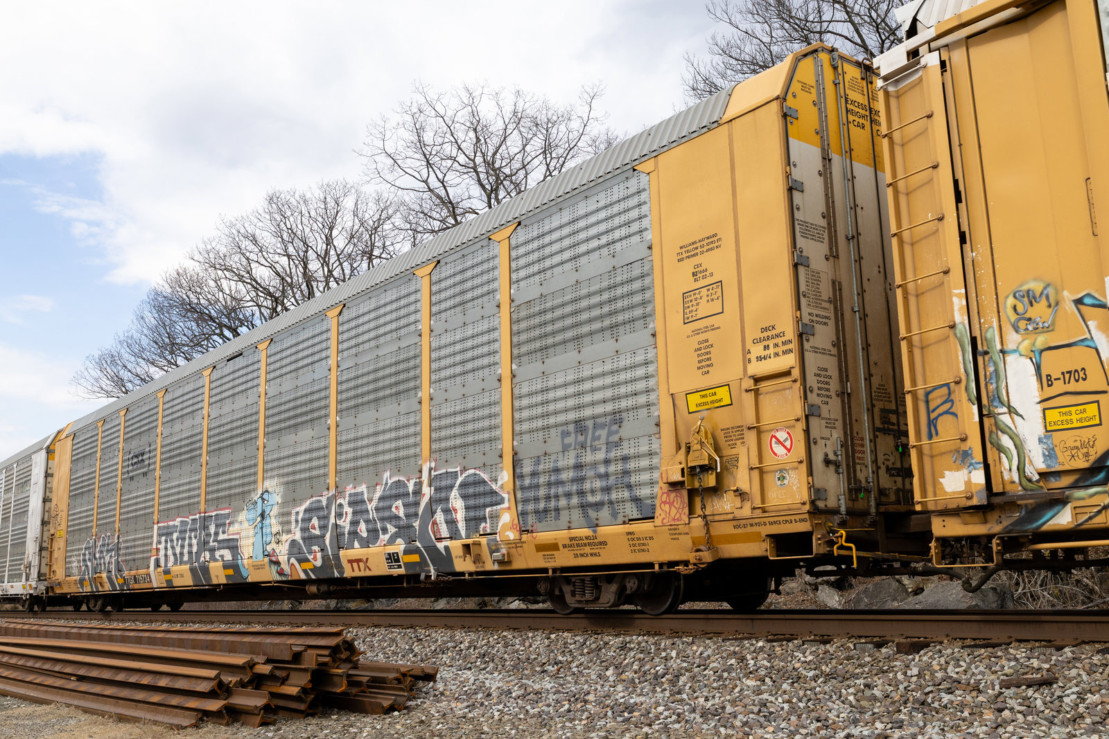 TTGX 715734
