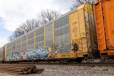 TTGX 715353