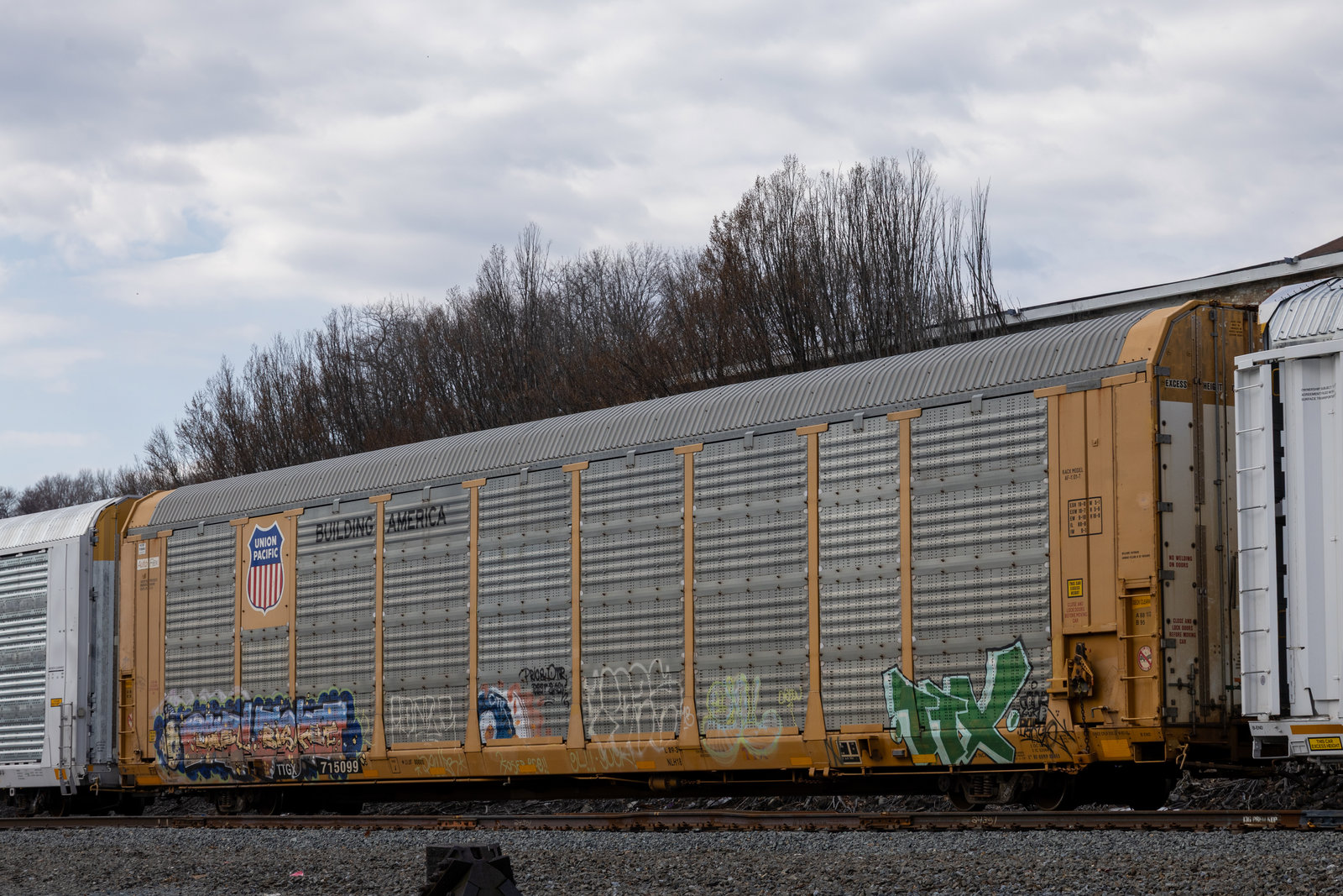 TTGX 715099
