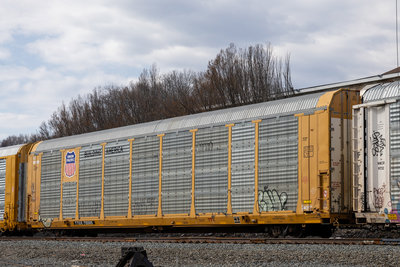 TTGX 715505