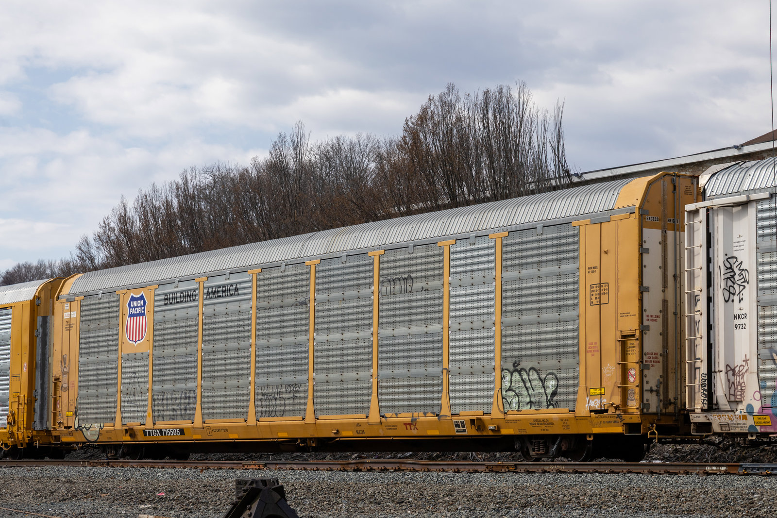 TTGX 715505