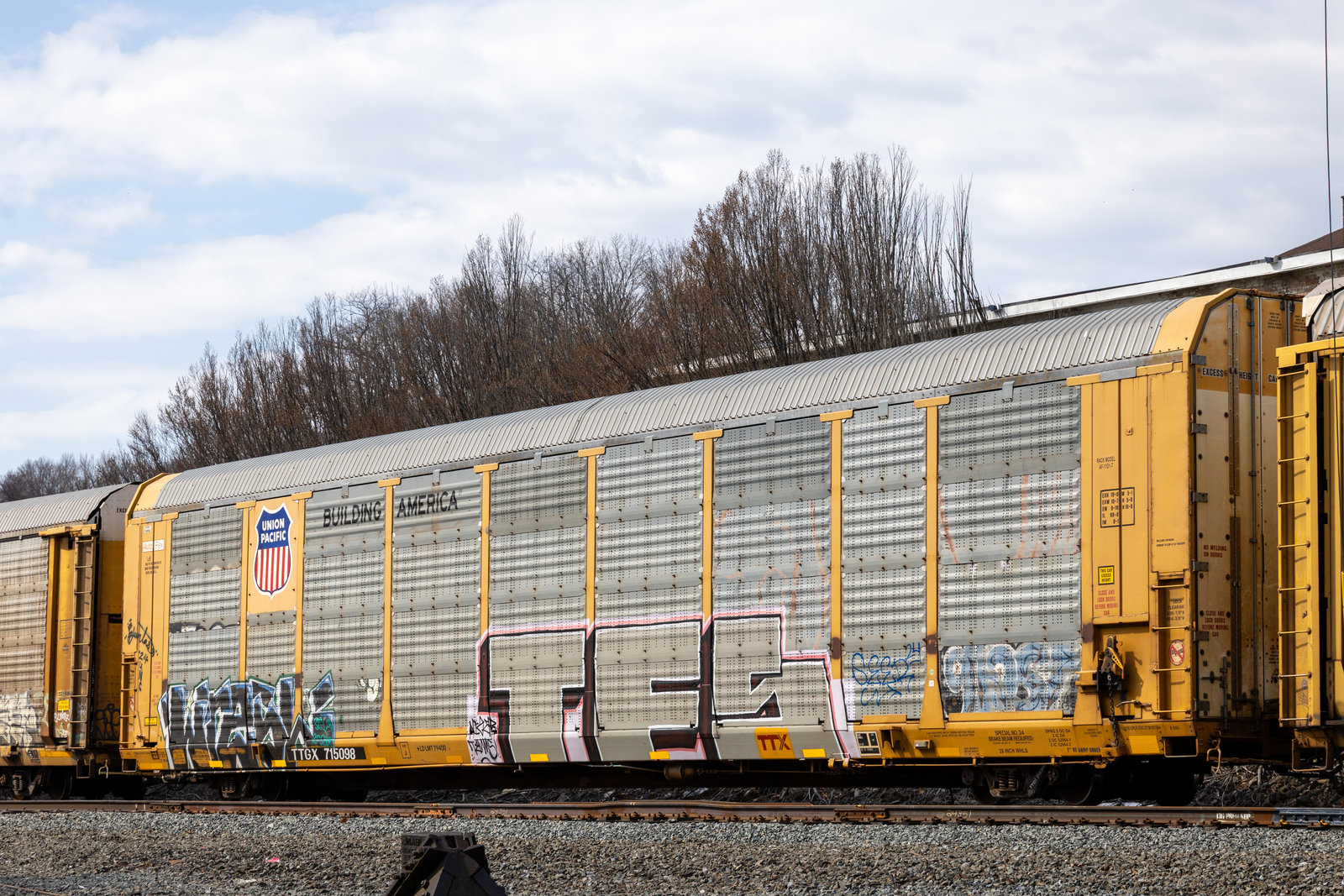 TTGX 715098
