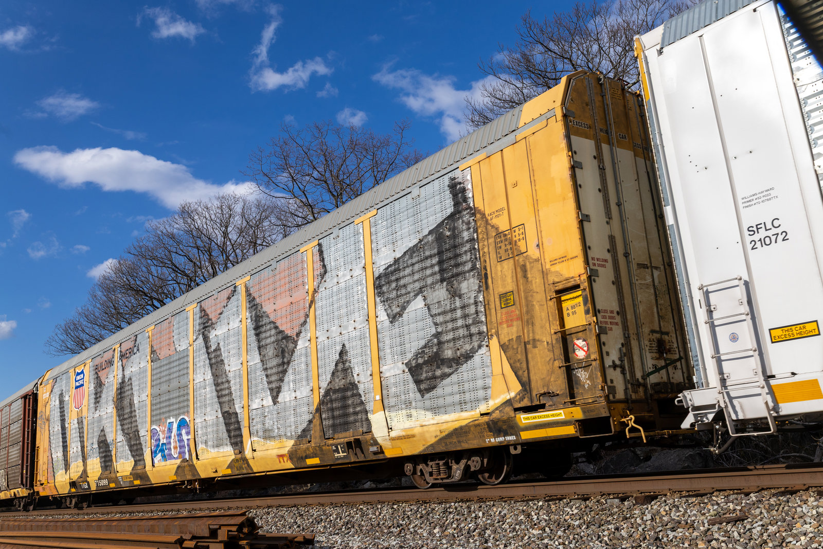 TTGX 715099