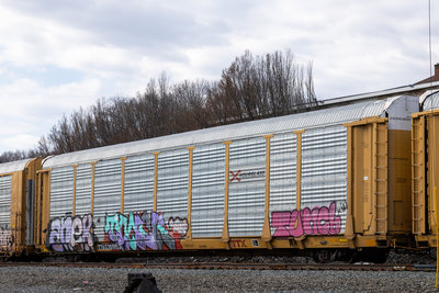 TTGX 701953