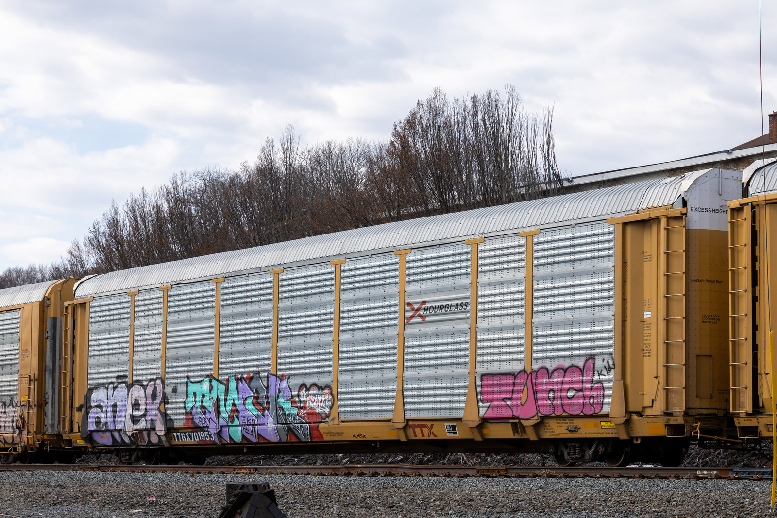 TTGX 701953