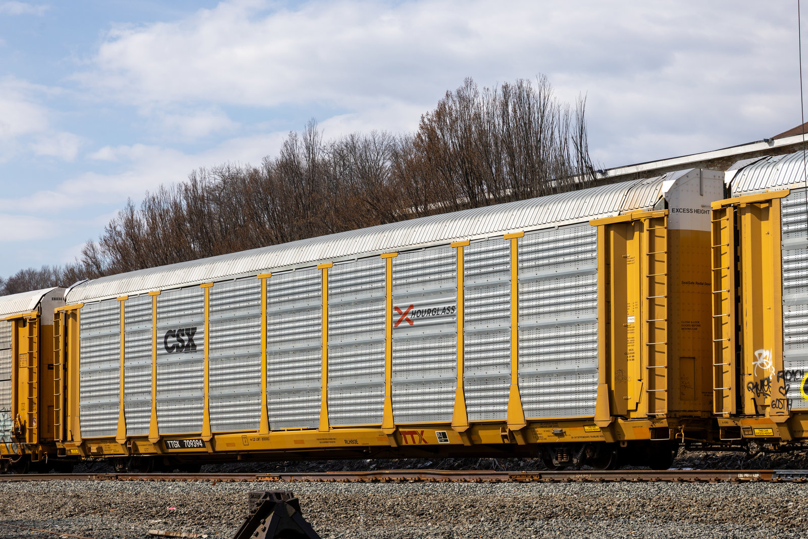 TTGX 709394
