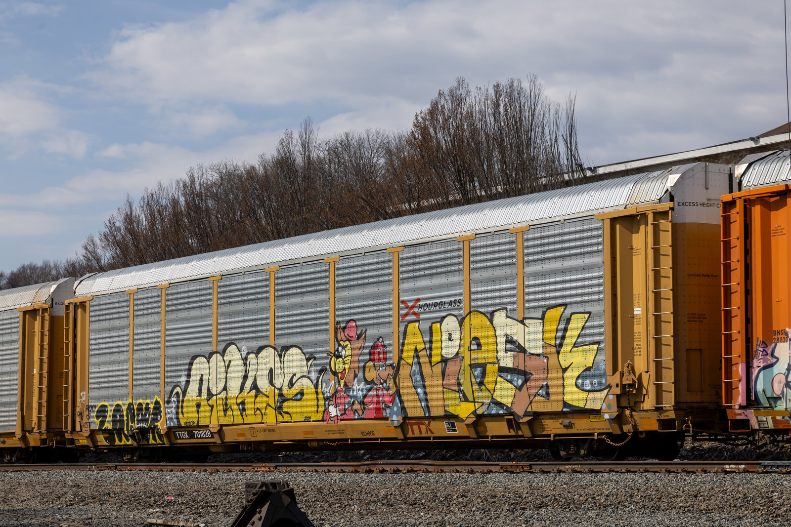 TTGX 701828
