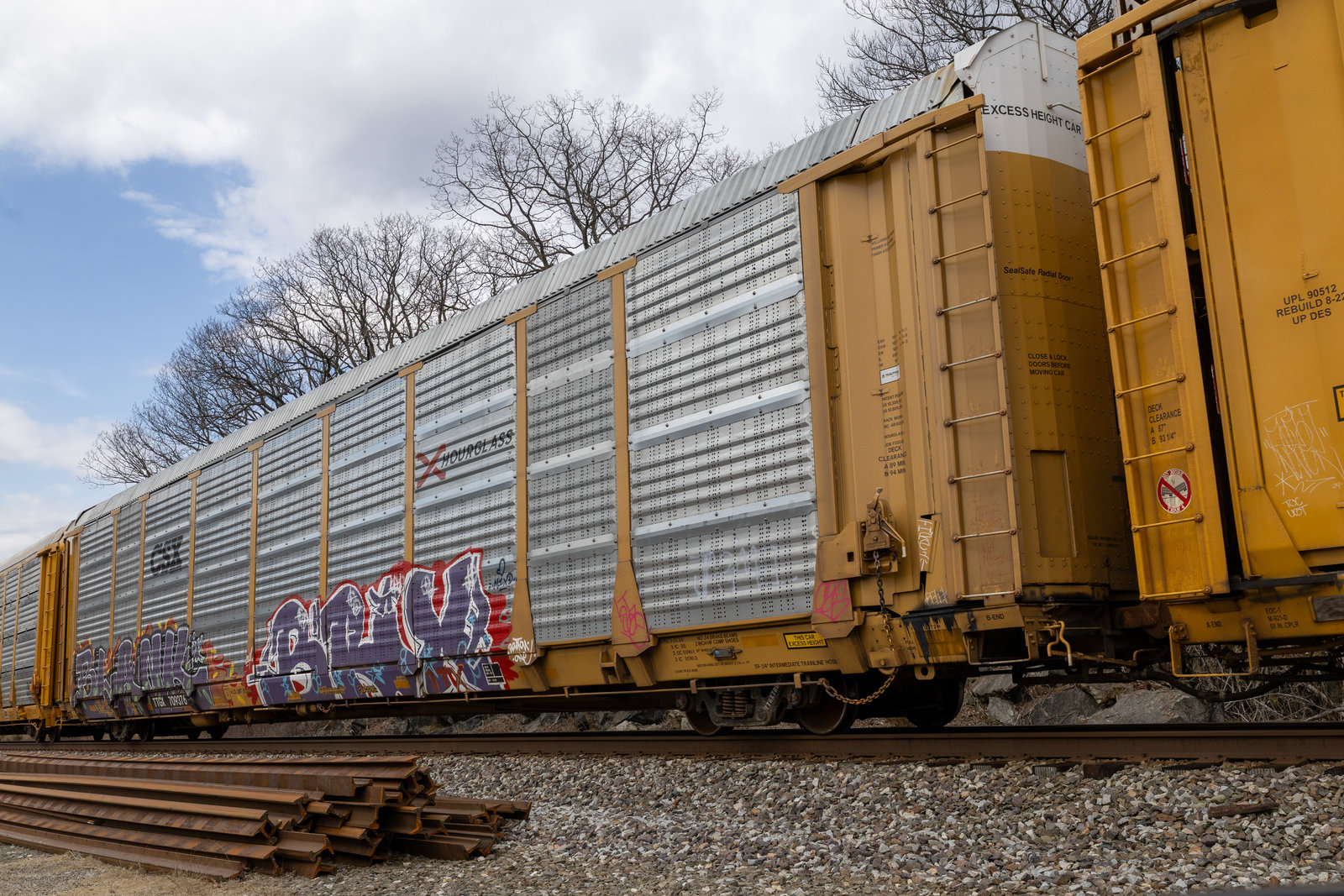 TTGX 709376