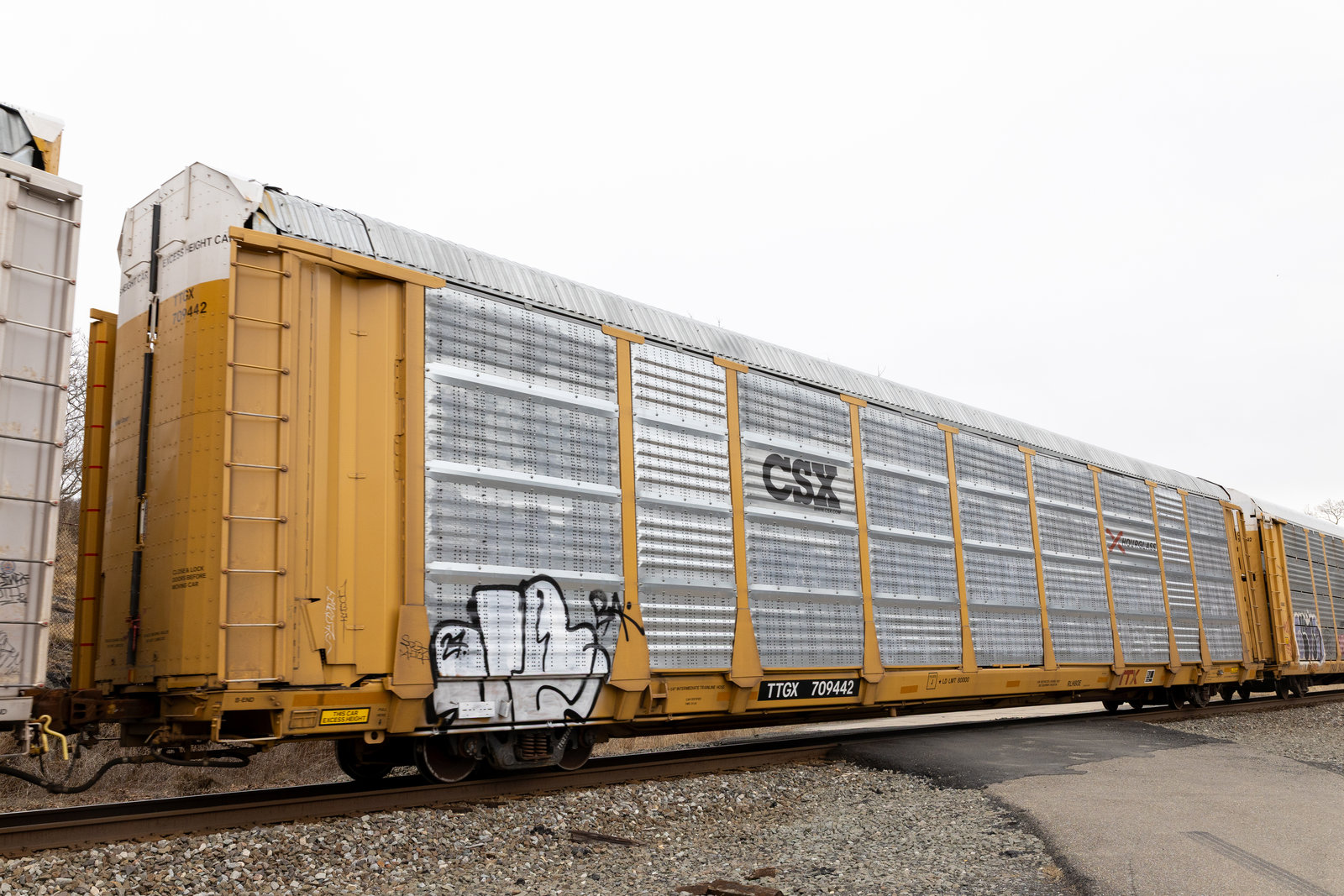 TTGX 709442