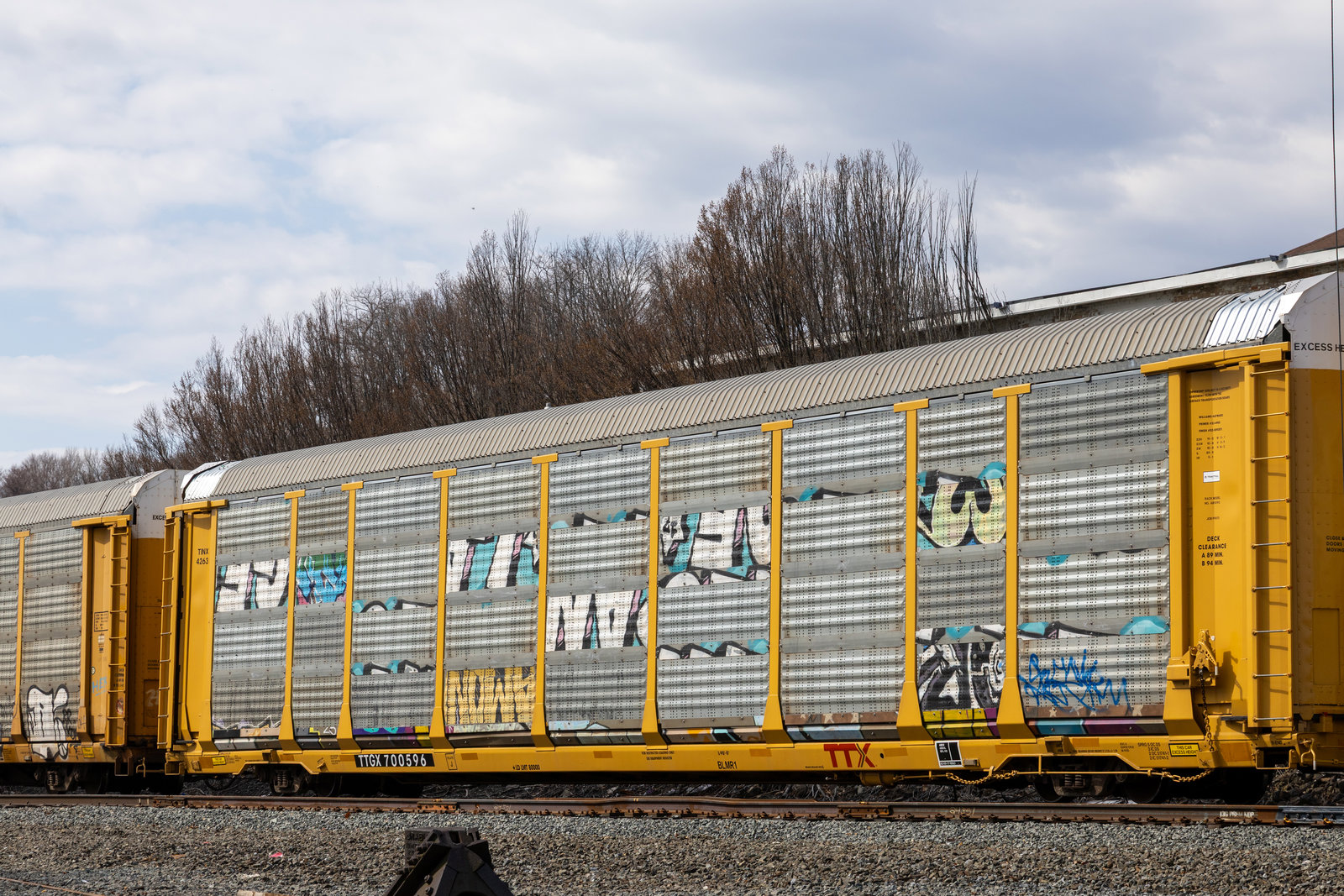 TTGX 700596