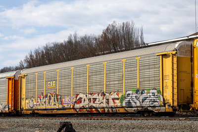 TTGX 851546