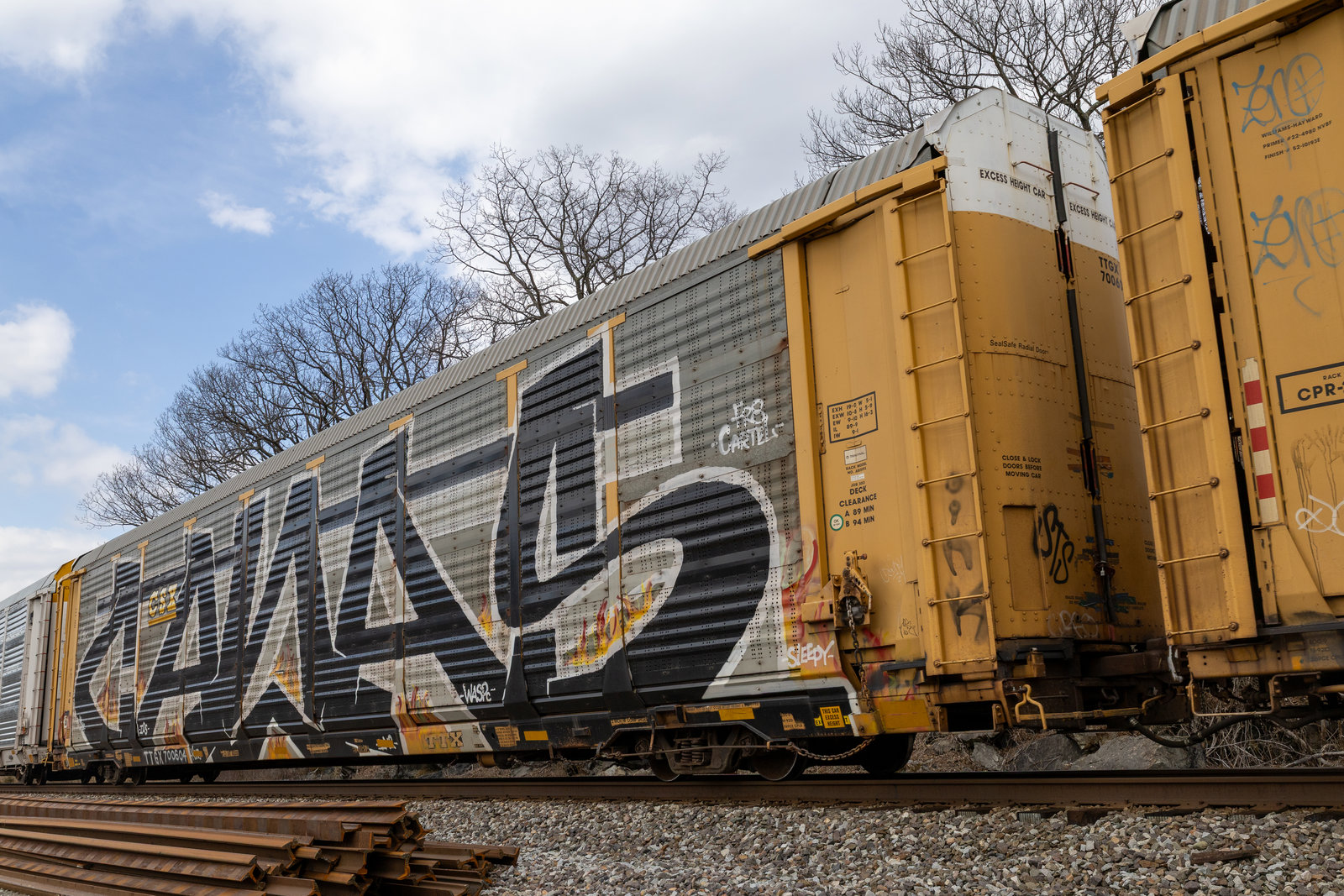 TTGX 700604