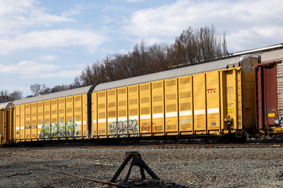 BTTX 880148