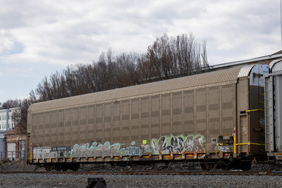 CP 546066