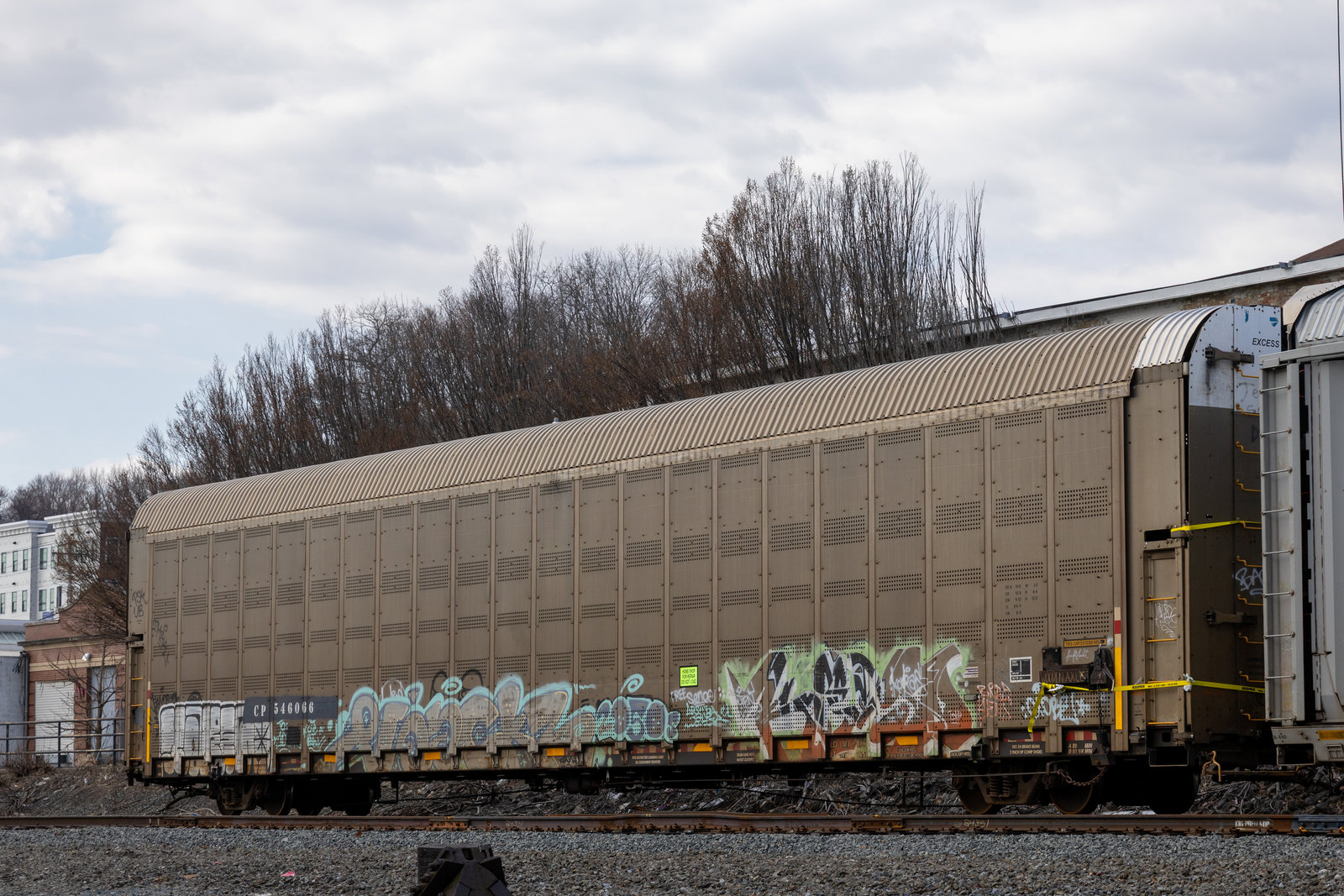 CP 546066