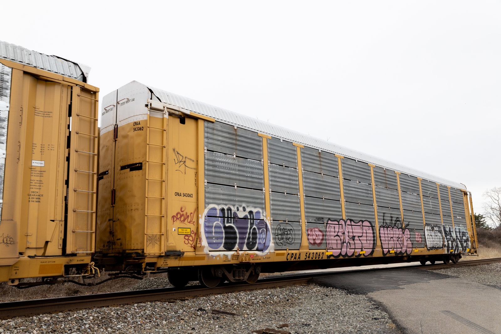 CPAA 543062