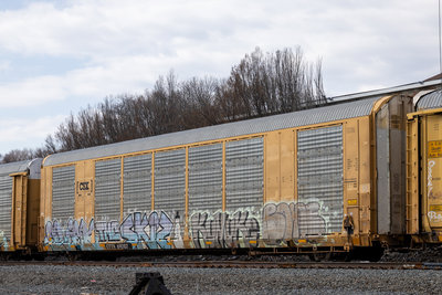 CTTX 690107