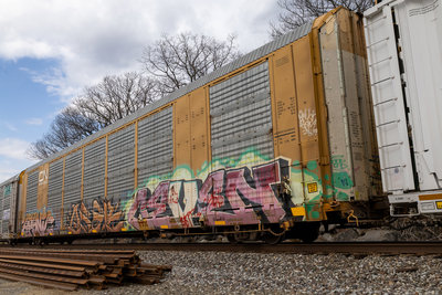 CTTX 690955